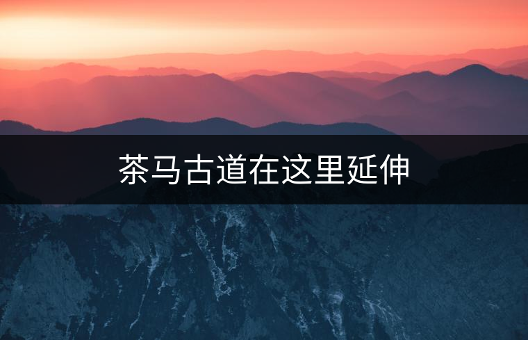 茶馬古道在這里延伸 茶馬古道在這里延伸