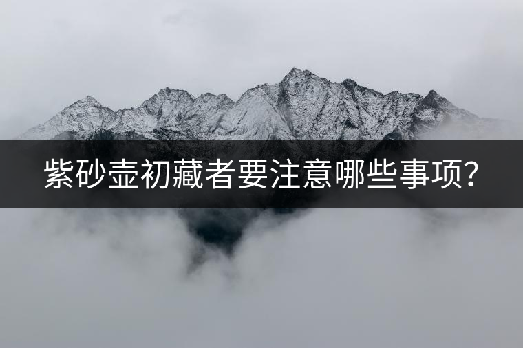 紫砂壺初藏者要注意哪些事項(xiàng)？