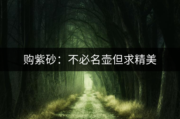 購(gòu)紫砂:不必名壺但求精美 購(gòu)紫砂:不必名壺但求精美