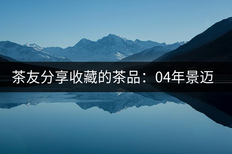 茶友分享收藏的茶品:04年景邁生古樹磚 茶友分享收藏的茶品:04年景邁生古樹磚
