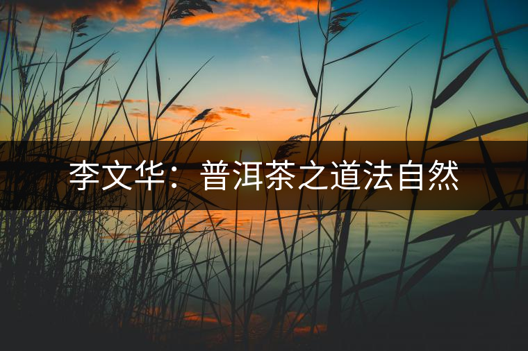 李文華:普洱茶之道法自然 李文華:普洱茶之道法自然