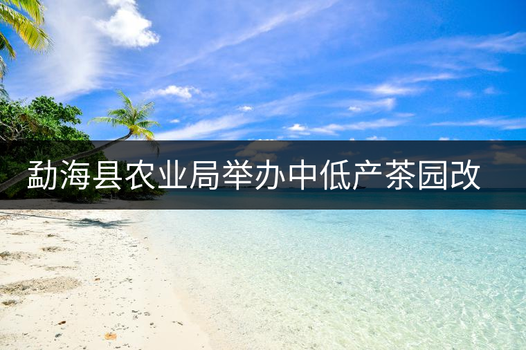 勐海縣農(nóng)業(yè)局舉辦中低產(chǎn)茶園改造技術(shù)培訓(xùn)會 勐??h農(nóng)業(yè)局舉辦中低產(chǎn)茶園改造技術(shù)培訓(xùn)會