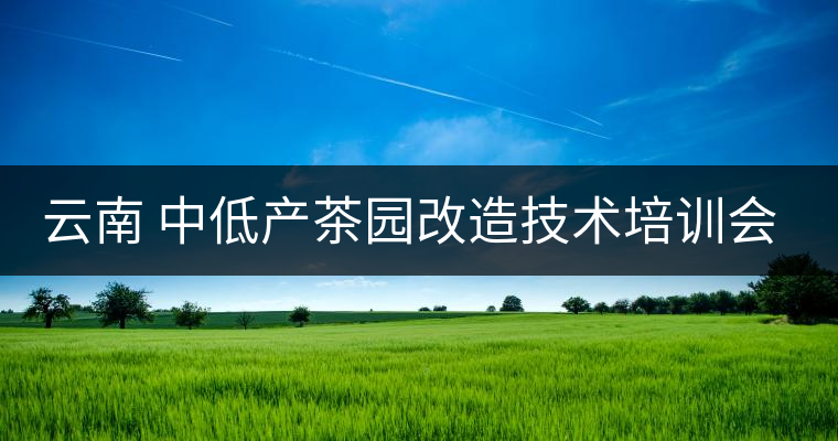 云南 中低產(chǎn)茶園改造技術(shù)培訓(xùn)會在昌寧召開 云南 中低產(chǎn)茶園改造技術(shù)培訓(xùn)會在昌寧召開