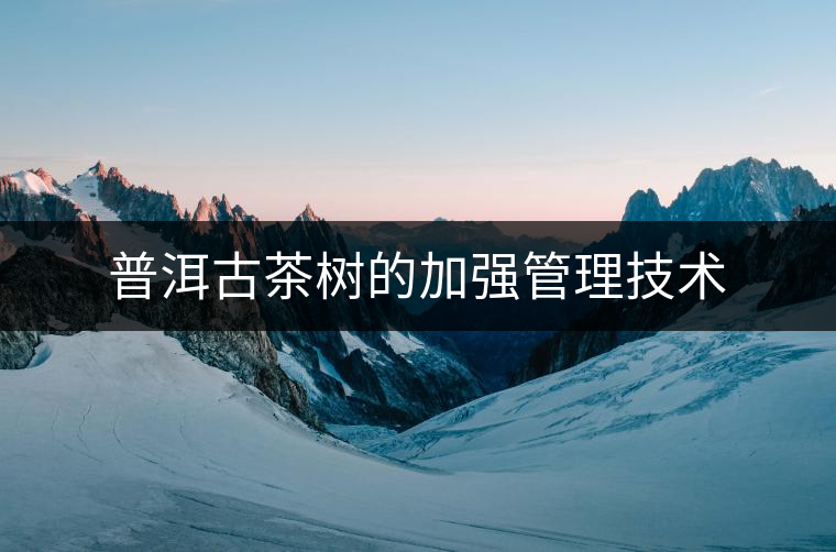 普洱古茶樹(shù)的加強(qiáng)管理技術(shù) 普洱古茶樹(shù)的加強(qiáng)管理技術(shù)