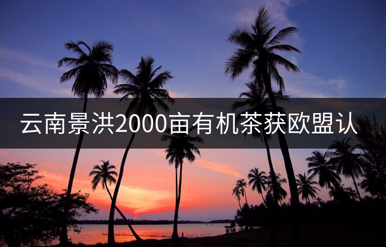 云南景洪2000畝有機茶獲歐盟認證 云南景洪2000畝有機茶獲歐盟認證