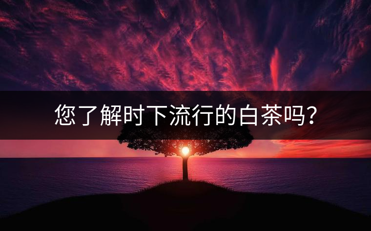您了解時下流行的白茶嗎？