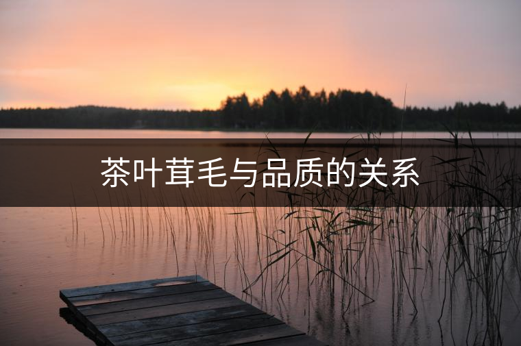 茶葉茸毛與品質(zhì)的關(guān)系 茶葉茸毛與品質(zhì)的關(guān)系