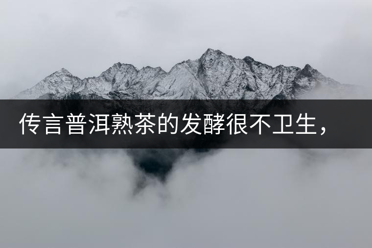 傳言普洱熟茶的發(fā)酵很不衛(wèi)生，是真的嗎？
