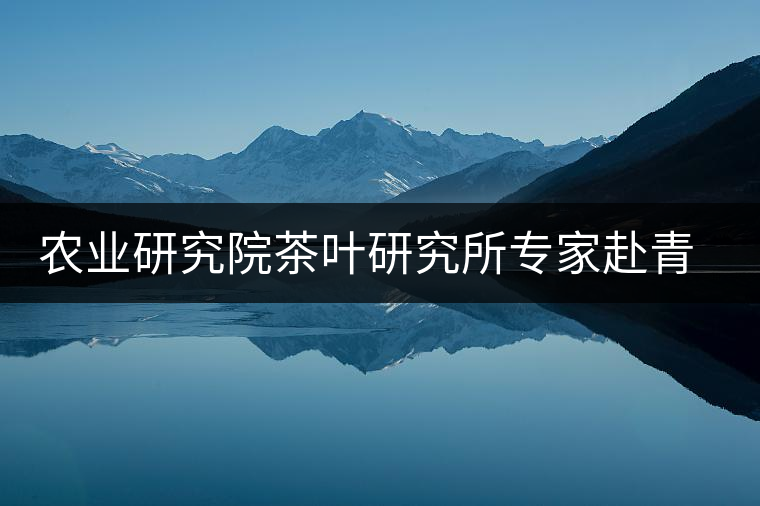 農業(yè)研究院茶葉研究所專家赴青海傳授制茶工藝