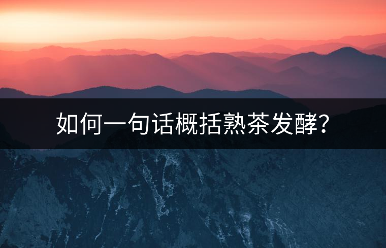 如何一句話概括熟茶發(fā)酵？