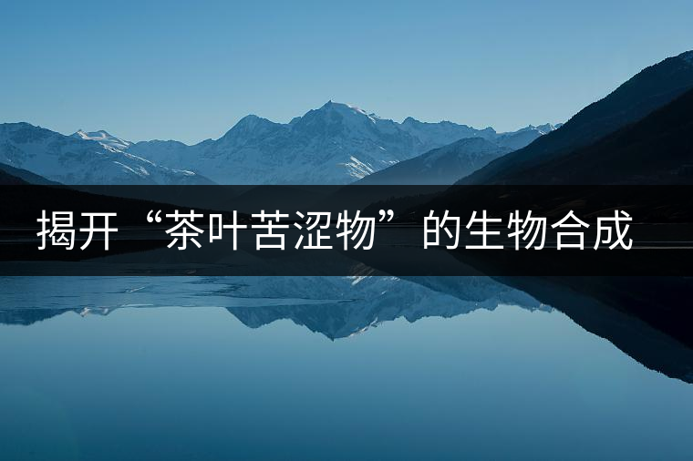 揭開(kāi)“茶葉苦澀物”的生物合成之謎