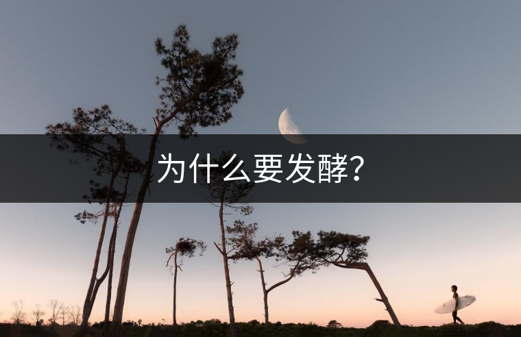 為什么要發(fā)酵？