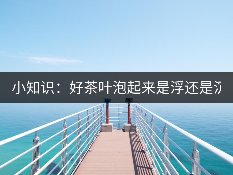 小知識：好茶葉泡起來是浮還是沉？