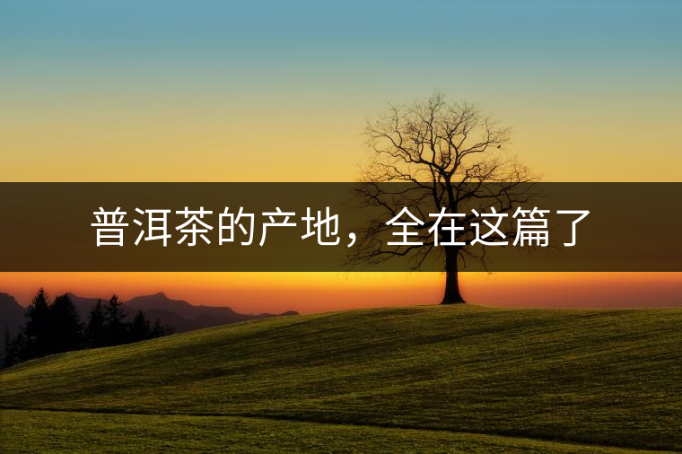 普洱茶的產(chǎn)地，全在這篇了