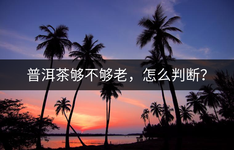 普洱茶夠不夠老，怎么判斷？