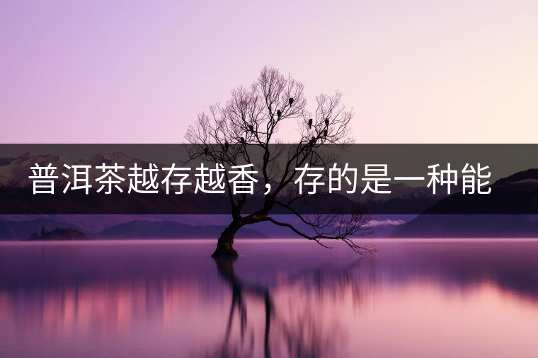 普洱茶越存越香，存的是一種能量