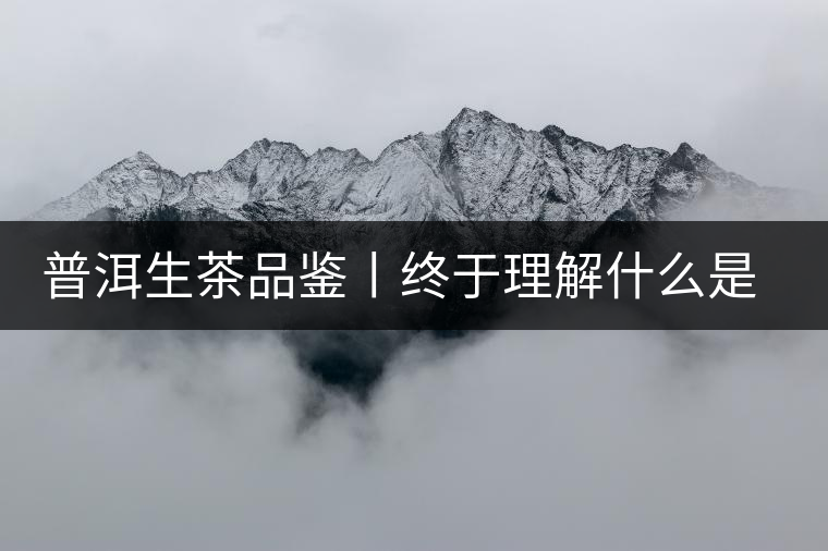 普洱生茶品鑒丨終于理解什么是“醇厚、耐泡，回甘”了
