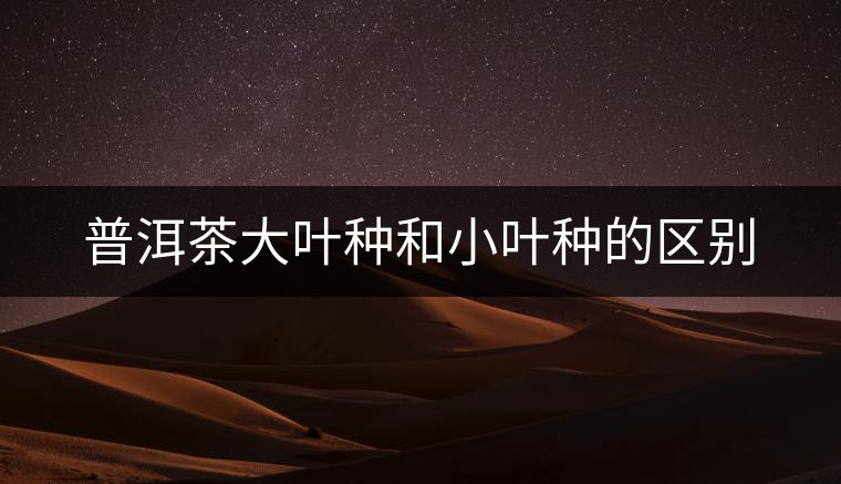 普洱茶大葉種和小葉種的區(qū)別 普洱茶大葉種和小葉種的區(qū)別