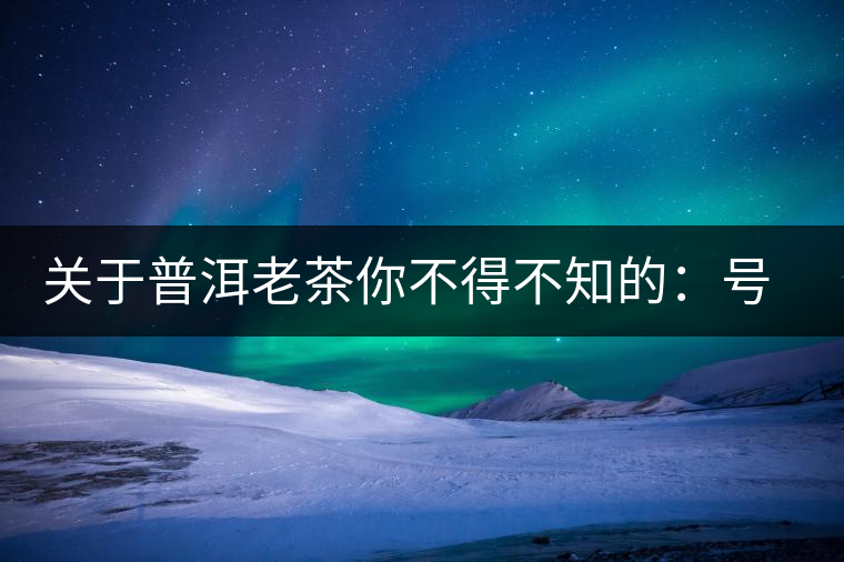 關(guān)于普洱老茶你不得不知的：號級茶、印級茶、七子餅茶
