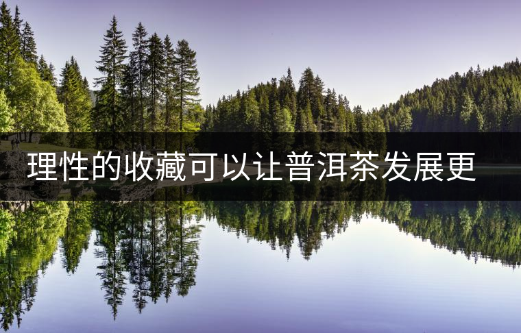 理性的收藏可以讓普洱茶發(fā)展更健康