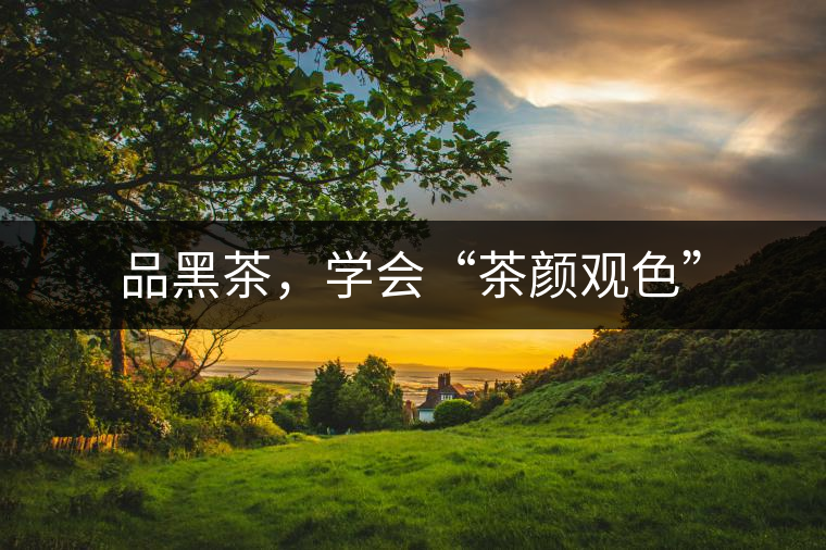 品黑茶，學(xué)會“茶顏觀色”