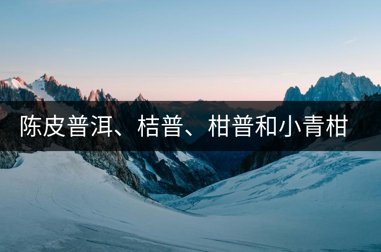 陳皮普洱、桔普、柑普和小青柑茶的分辨技巧