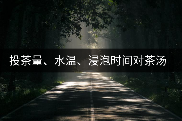 投茶量、水溫、浸泡時間對茶湯的影響