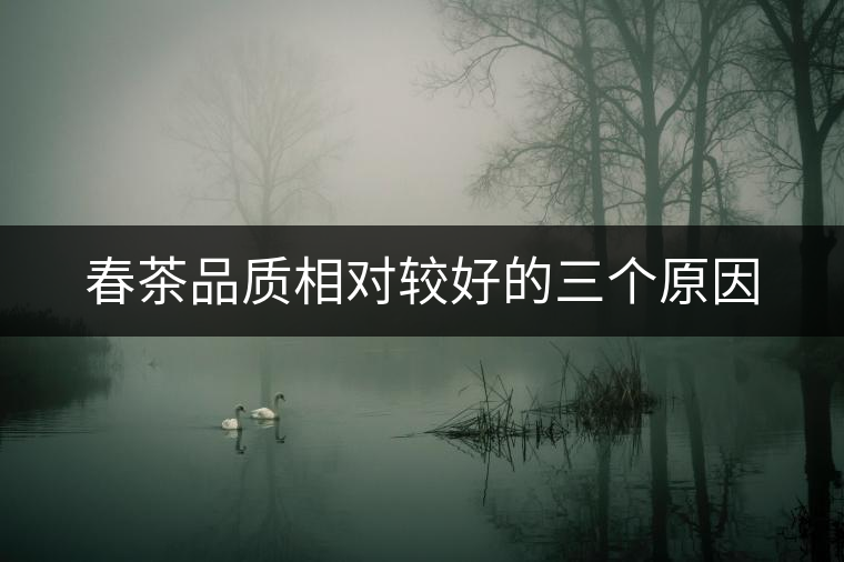 春茶品質(zhì)相對較好的三個(gè)原因