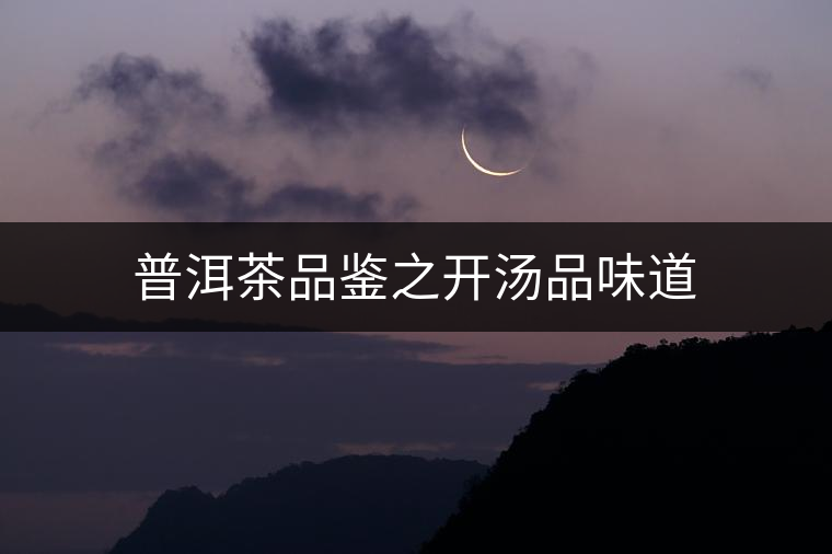 普洱茶品鑒之開湯品味道 普洱茶品鑒之開湯品味道