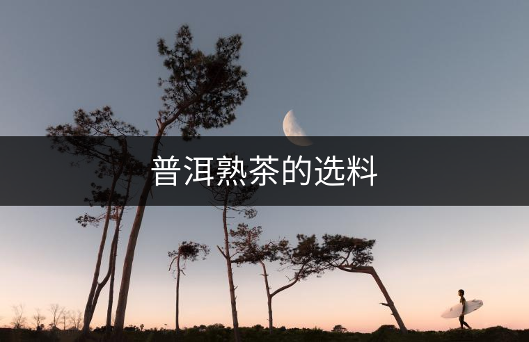 普洱熟茶的選料 普洱熟茶的選料