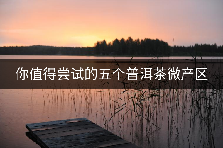 你值得嘗試的五個普洱茶微產(chǎn)區(qū) 你值得嘗試的五個普洱茶微產(chǎn)區(qū)