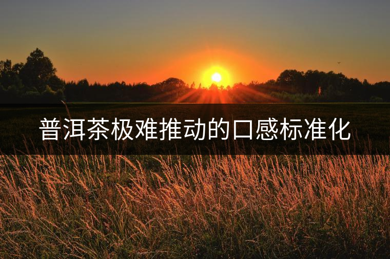 普洱茶極難推動的口感標準化 普洱茶極難推動的口感標準化