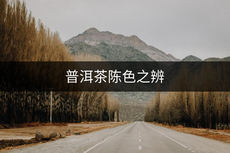 普洱茶陳色之辨 普洱茶陳色之辨