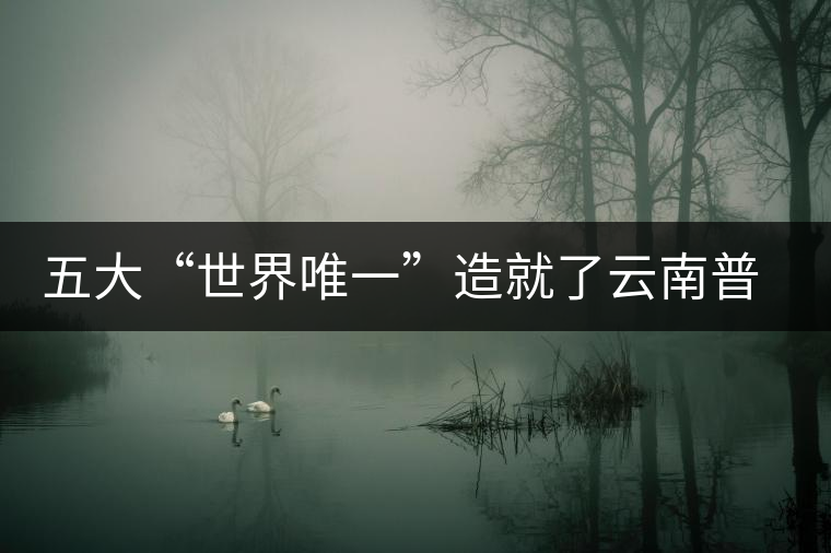 五大“世界唯一”造就了云南普洱茶的獨(dú)一無二