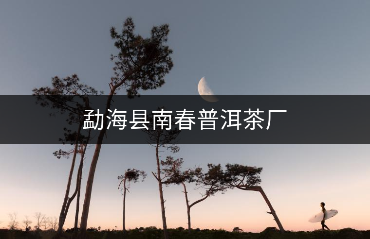 勐海縣南春普洱茶廠 勐海縣南春普洱茶廠
