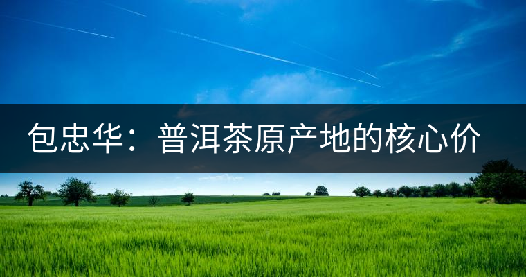 包忠華:普洱茶原產(chǎn)地的核心價值觀 包忠華:普洱茶原產(chǎn)地的核心價值觀