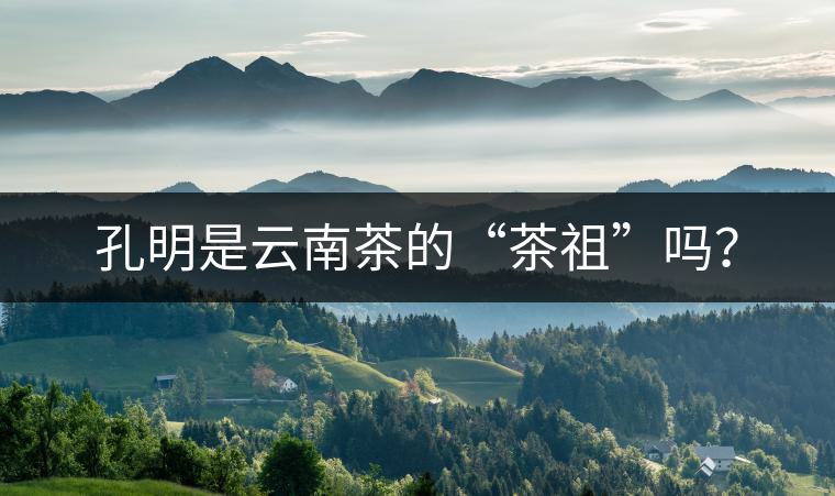 孔明是云南茶的“茶祖”嗎？