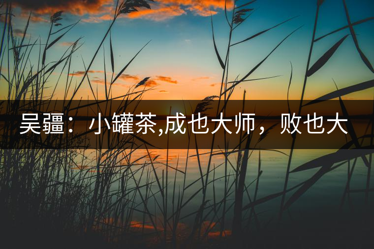 吳疆：小罐茶,成也大師，敗也大師