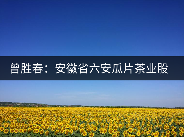 曾勝春:安徽省六安瓜片茶業(yè)股份有限公司董事長(zhǎng) 曾勝春:安徽省六安瓜片茶業(yè)股份有限公司董事長(zhǎng)