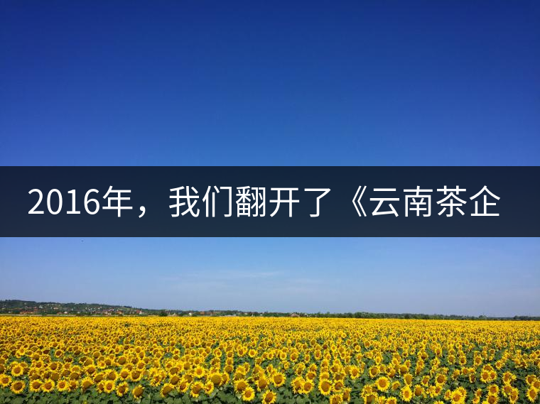 2016年，我們翻開了《云南茶企發(fā)展白皮書》