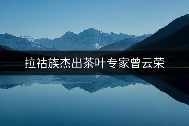 拉祜族杰出茶葉專家曾云榮 拉祜族杰出茶葉專家曾云榮