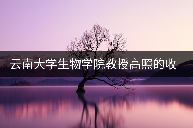 云南大學生物學院教授高照的收藏之道 云南大學生物學院教授高照的收藏之道