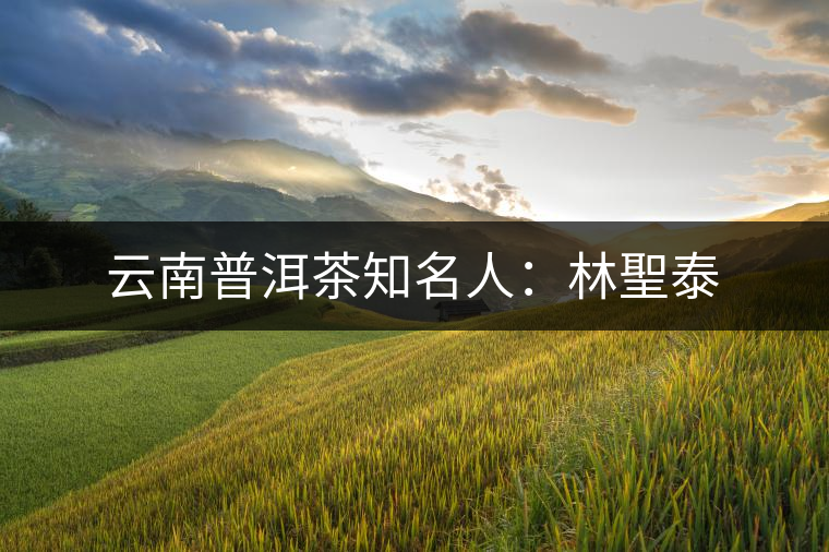 云南普洱茶知名人:林聖泰 云南普洱茶知名人:林聖泰