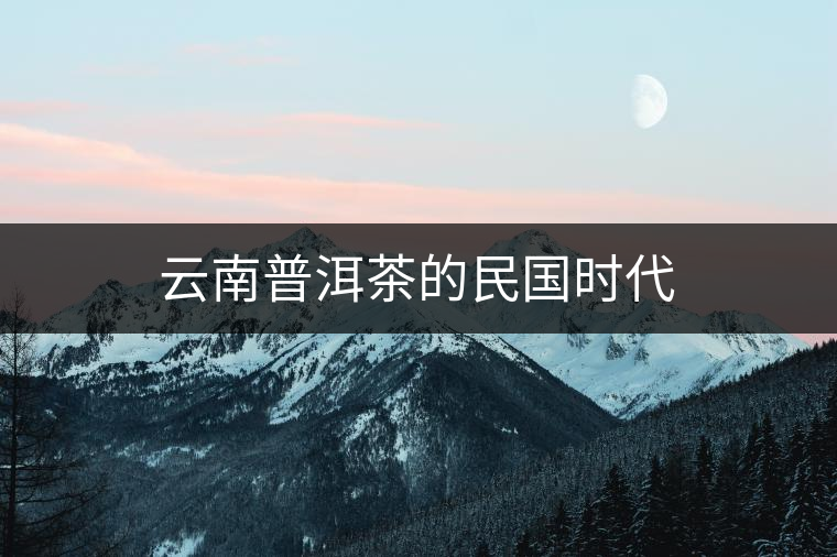 云南普洱茶的民國時(shí)代 云南普洱茶的民國時(shí)代