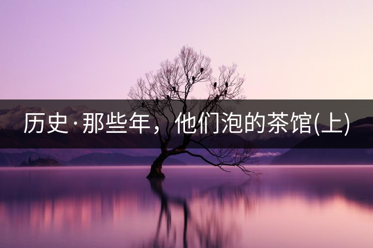 歷史·那些年，他們泡的茶館(上)