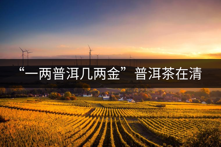 “一兩普洱幾兩金”普洱茶在清代為啥這么火？！