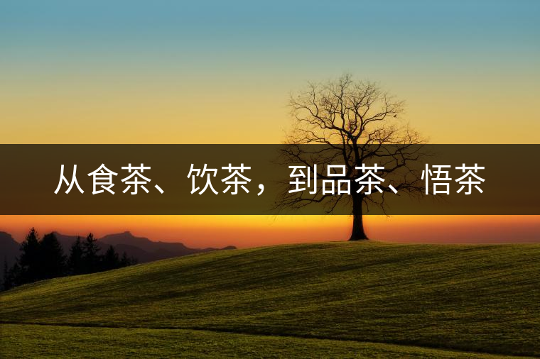 從食茶、飲茶，到品茶、悟茶