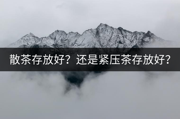 散茶存放好？還是緊壓茶存放好？