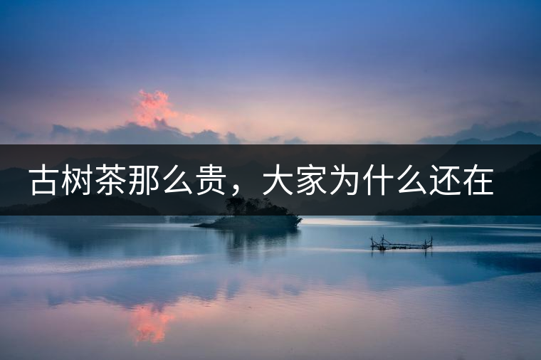 古樹茶那么貴，大家為什么還在瘋狂追求？