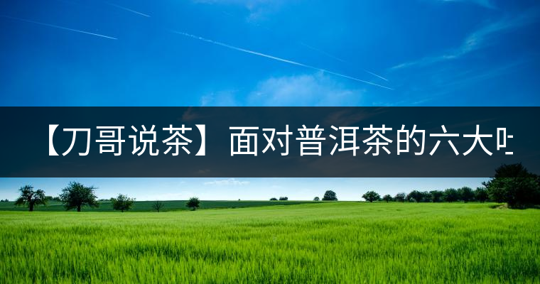 【刀哥說茶】面對普洱茶的六大吐槽, 憑什么買你家的? 【刀哥說茶】面對普洱茶的六大吐槽, 憑什么買你家的?